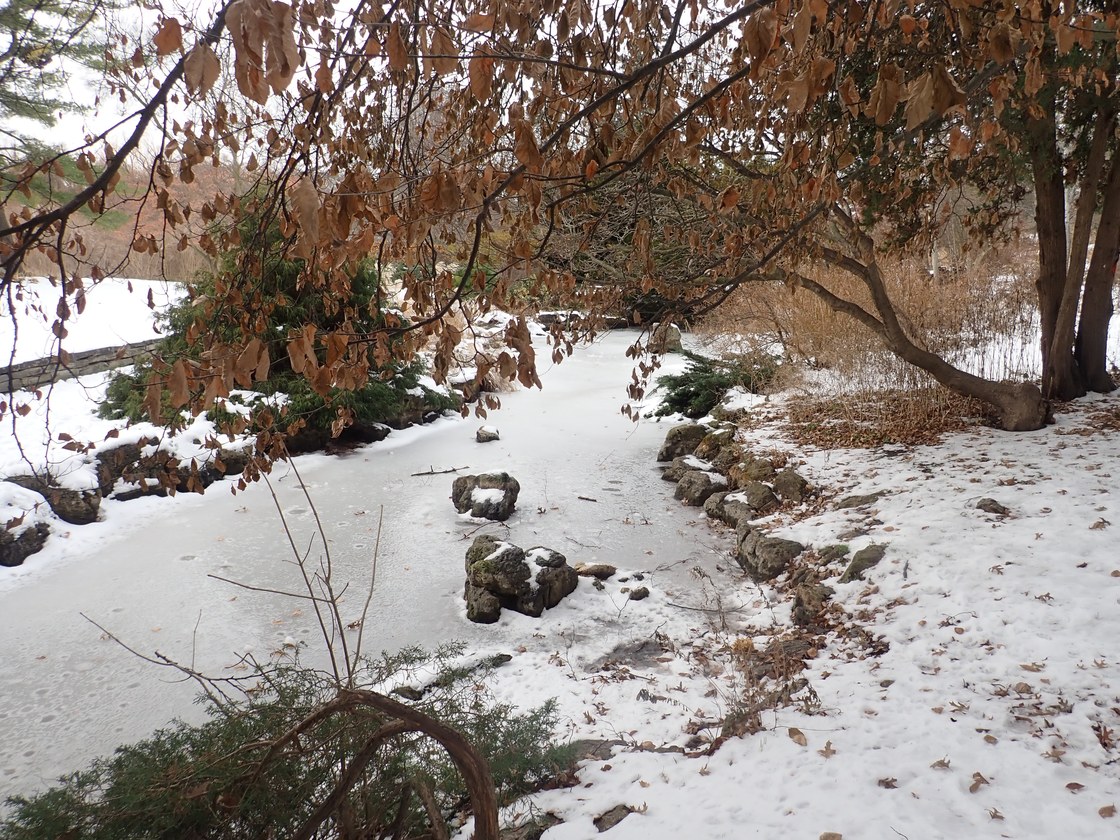 Pc080021