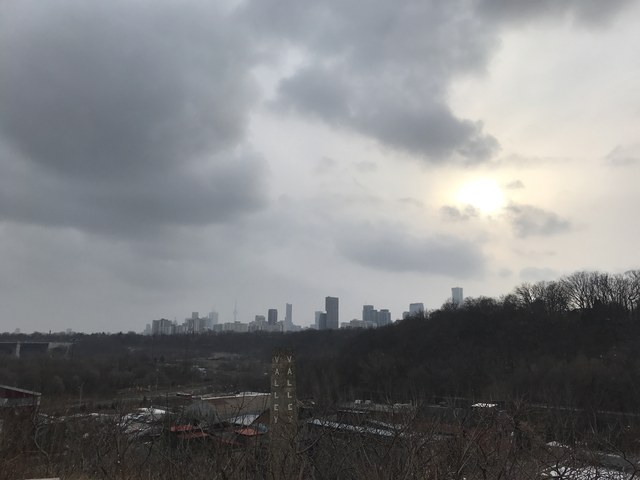 Img 1783