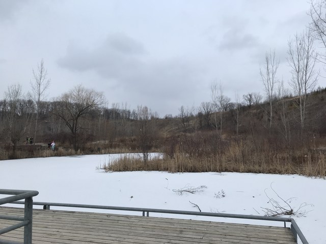 Img 1781