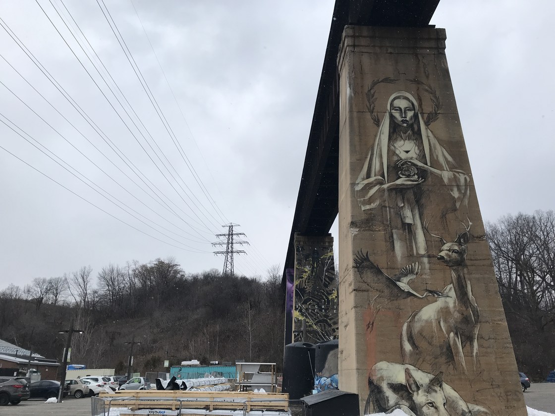 Img 1779