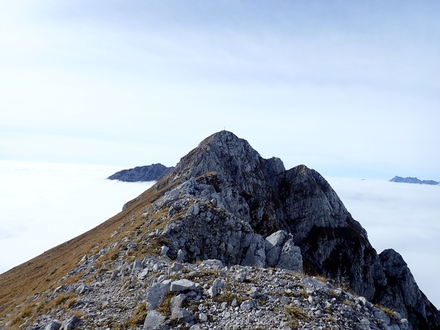 Pb010037