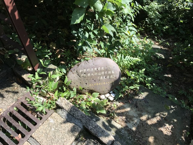 Img 1510