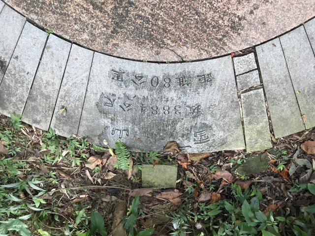 Img 1516