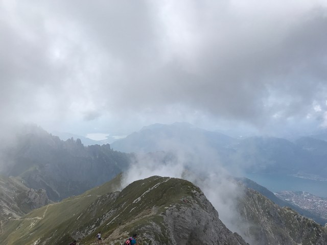 Img 1427