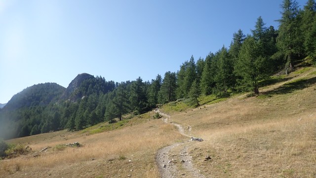 P8160005