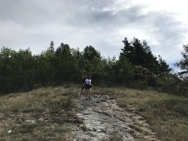 Img 1403