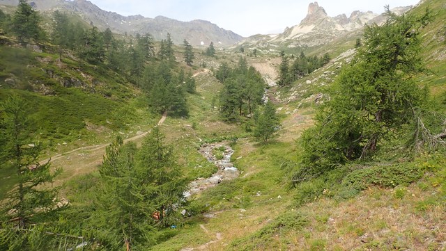 P8130019