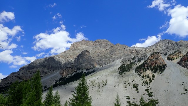 P8110002