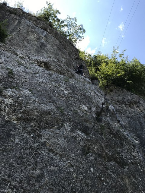 Img 1346