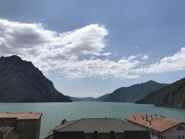 Img 1339