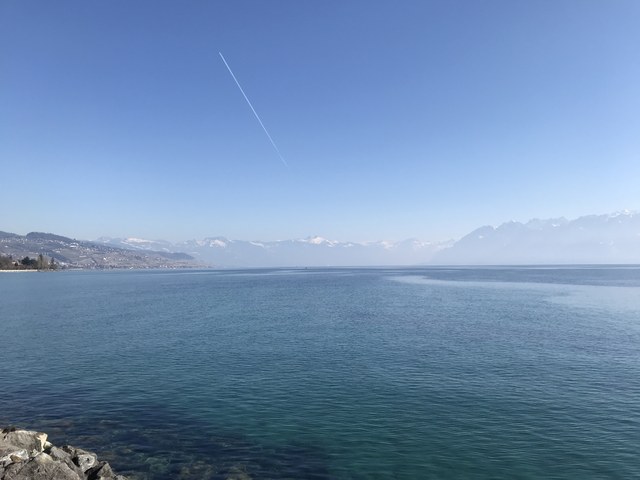 Img 1118