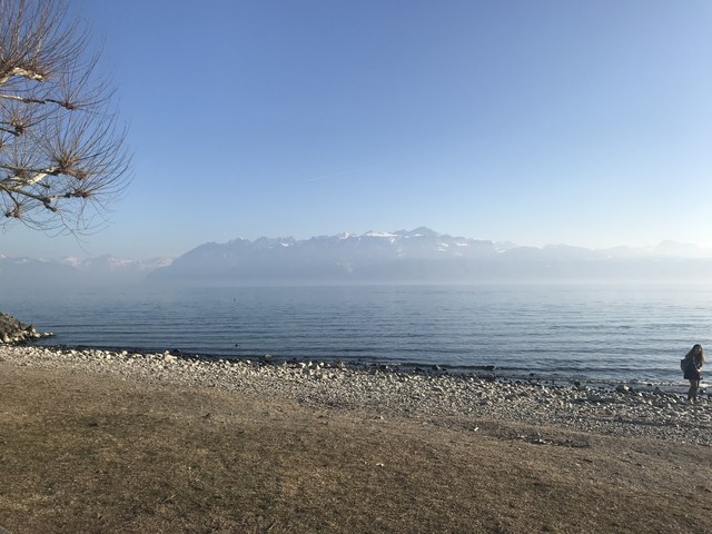 Img 1121