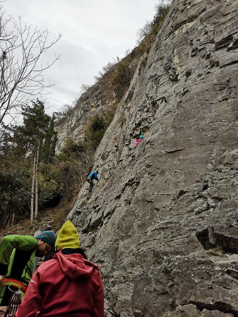 Photo 2019 01 12 19 56 33 1