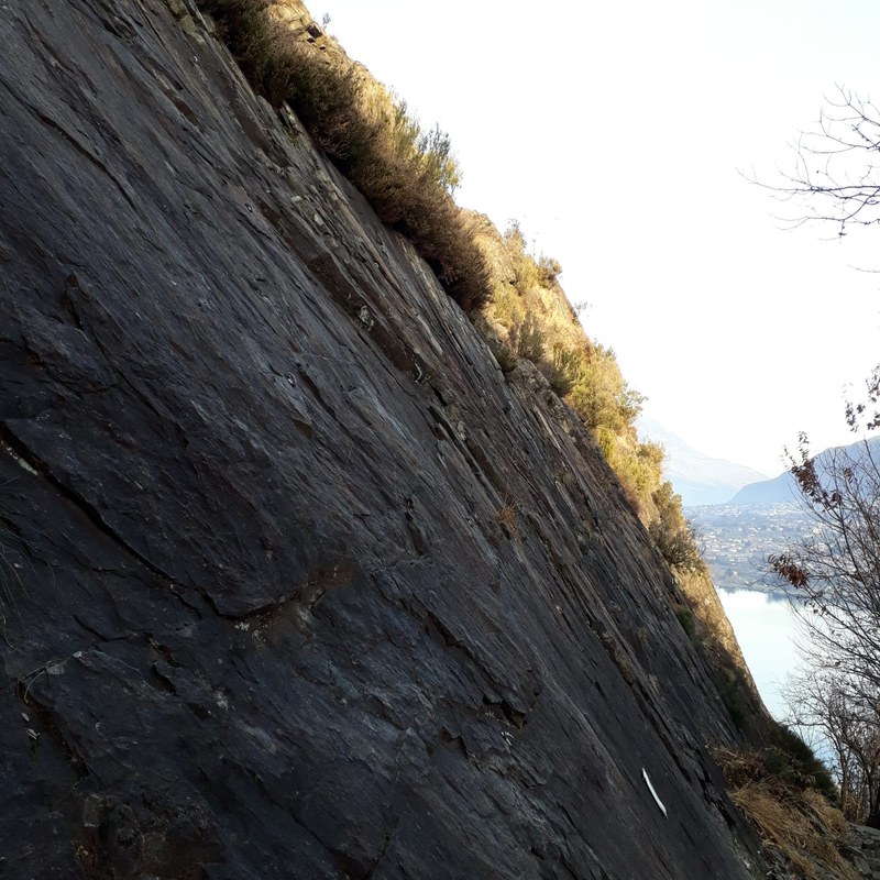 Photo 2019 01 08 16 39 21 (1)
