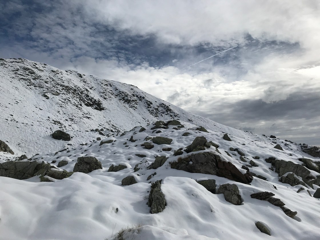 Img 0950