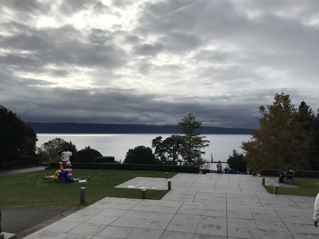 Img 0930