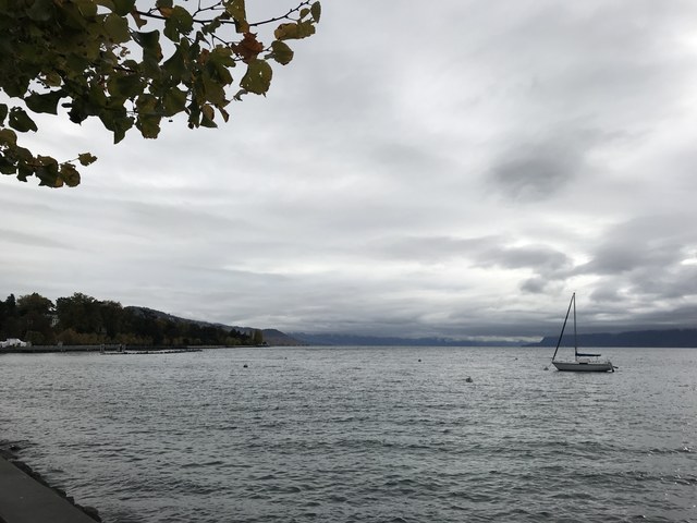 Img 0918