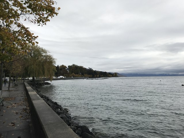 Img 0920
