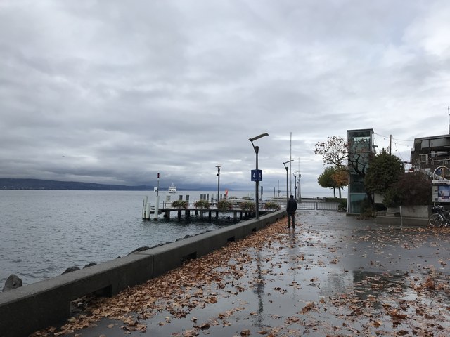 Img 0913