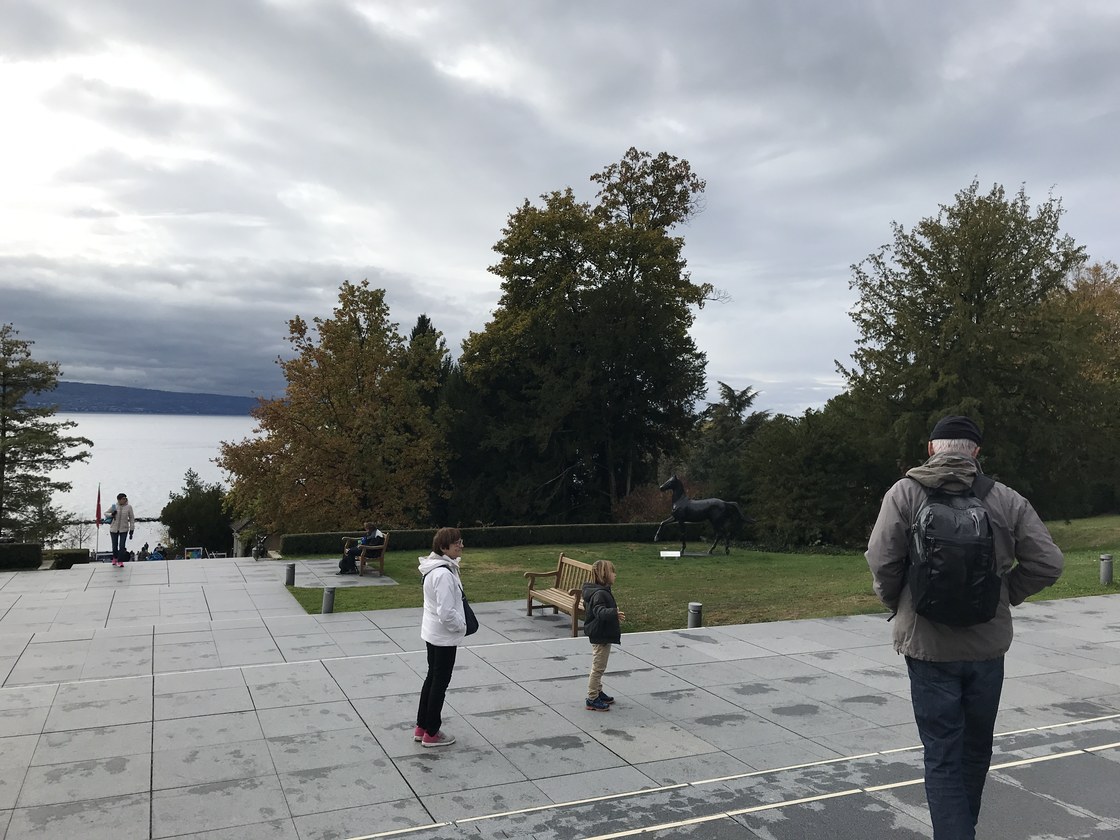Img 0931