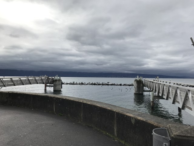 Img 0922