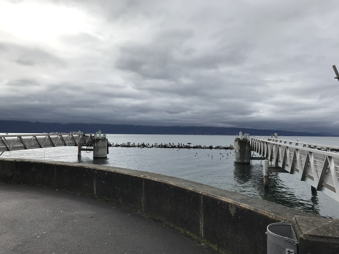 Img 0922