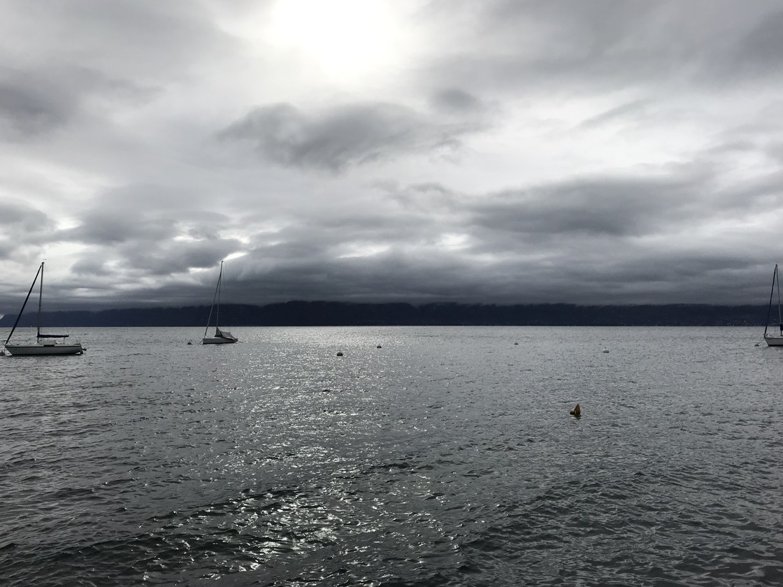 Img 0919
