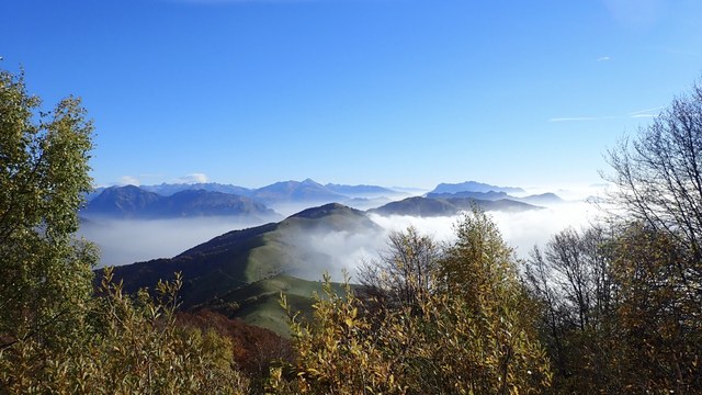 Img 0872