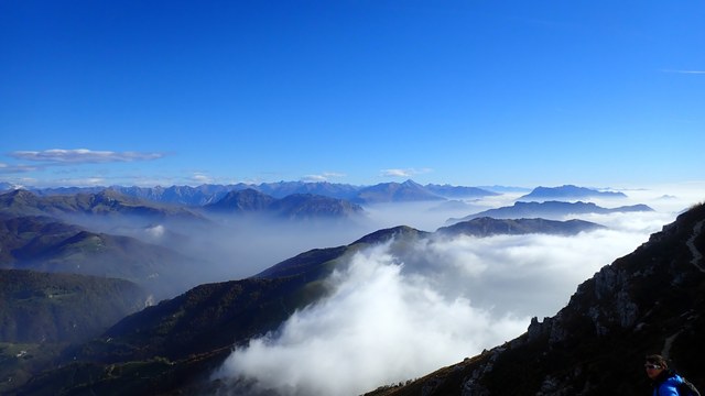 Img 0881