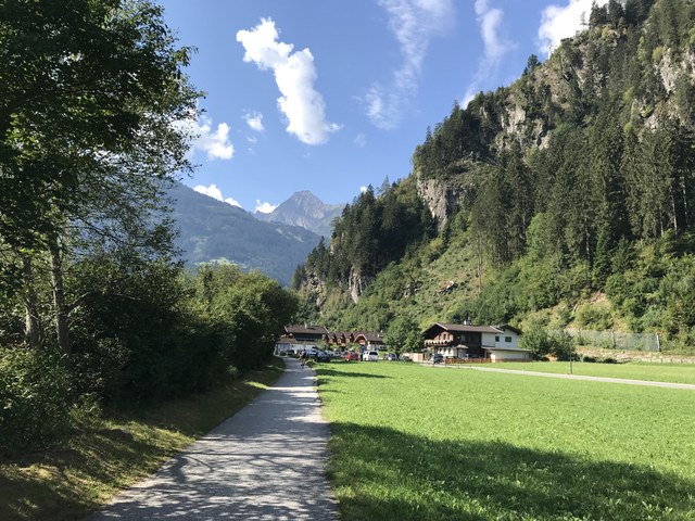 Img 0651