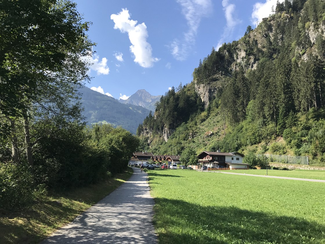 Img 0651
