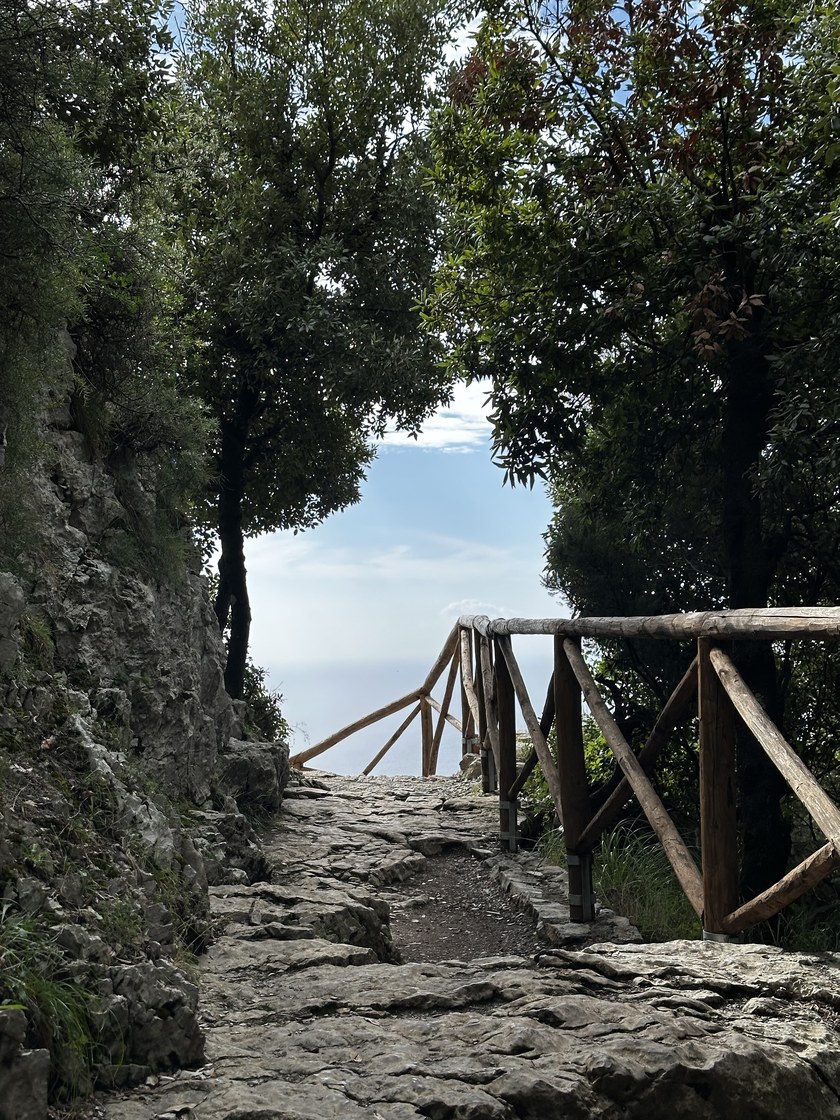 Img 1825
