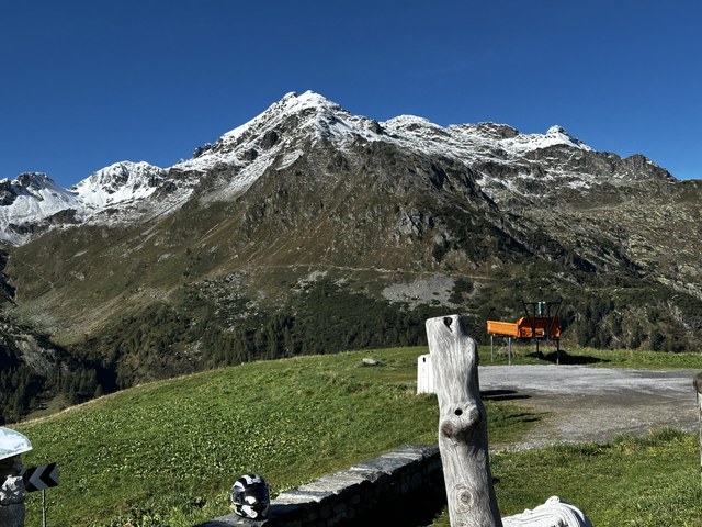 Img 1641